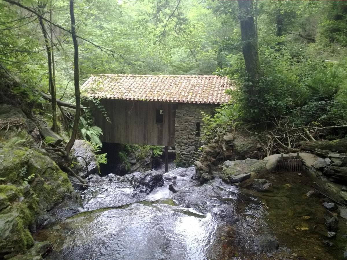 Apartamentos Mendebaldea Suites Pamplona Eksteriør billede
